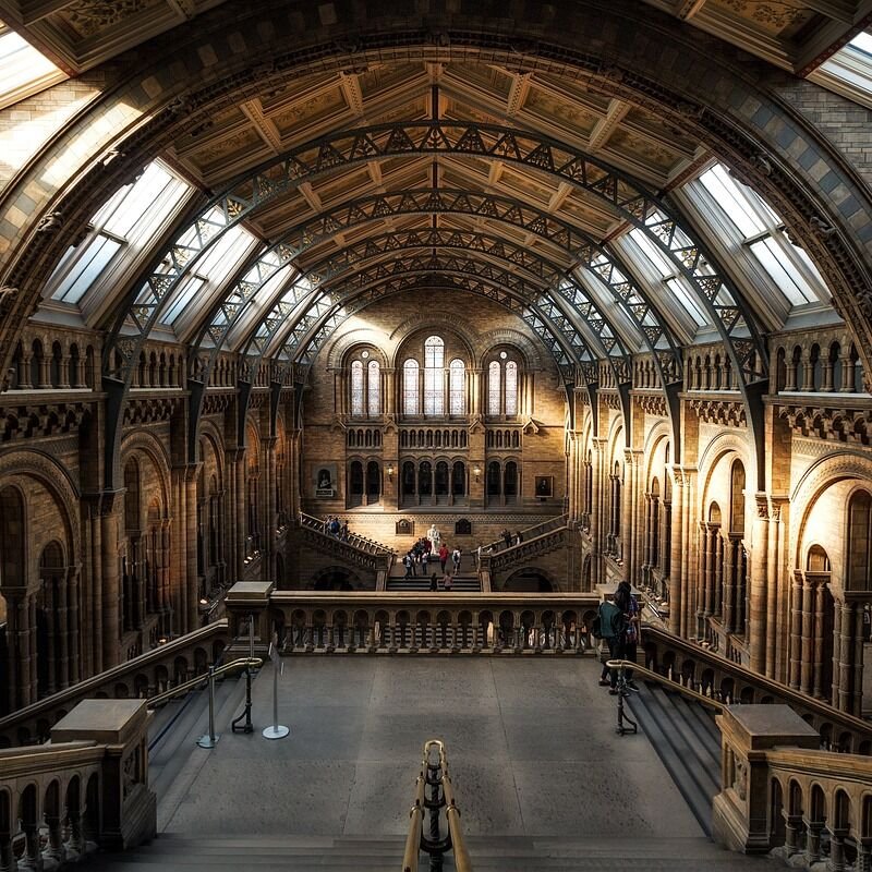 natural history museum, london, interior-2203648.jpg